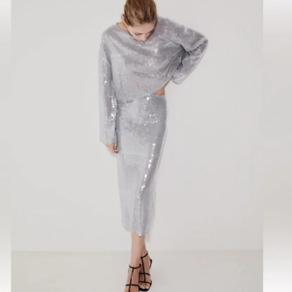 Zara Sequin Skirt (Size Large) - Picture 3 of 5